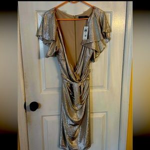 NWT. Gorgeous Ralph Lauren Dress. Never worn. Size 18.